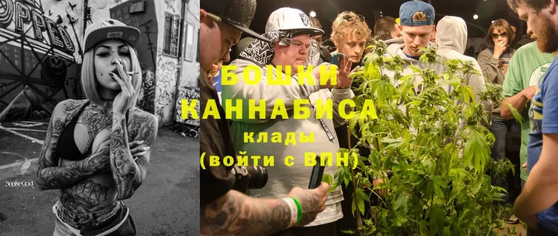 Каннабис OG Kush  Верея 